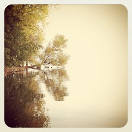 #lake 2011