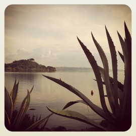 #lake 2011